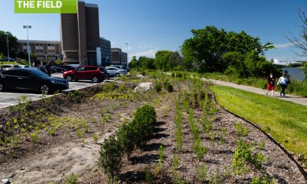 Perceptions on the Sustainability of Green Stormwater Infrastructure – The Field